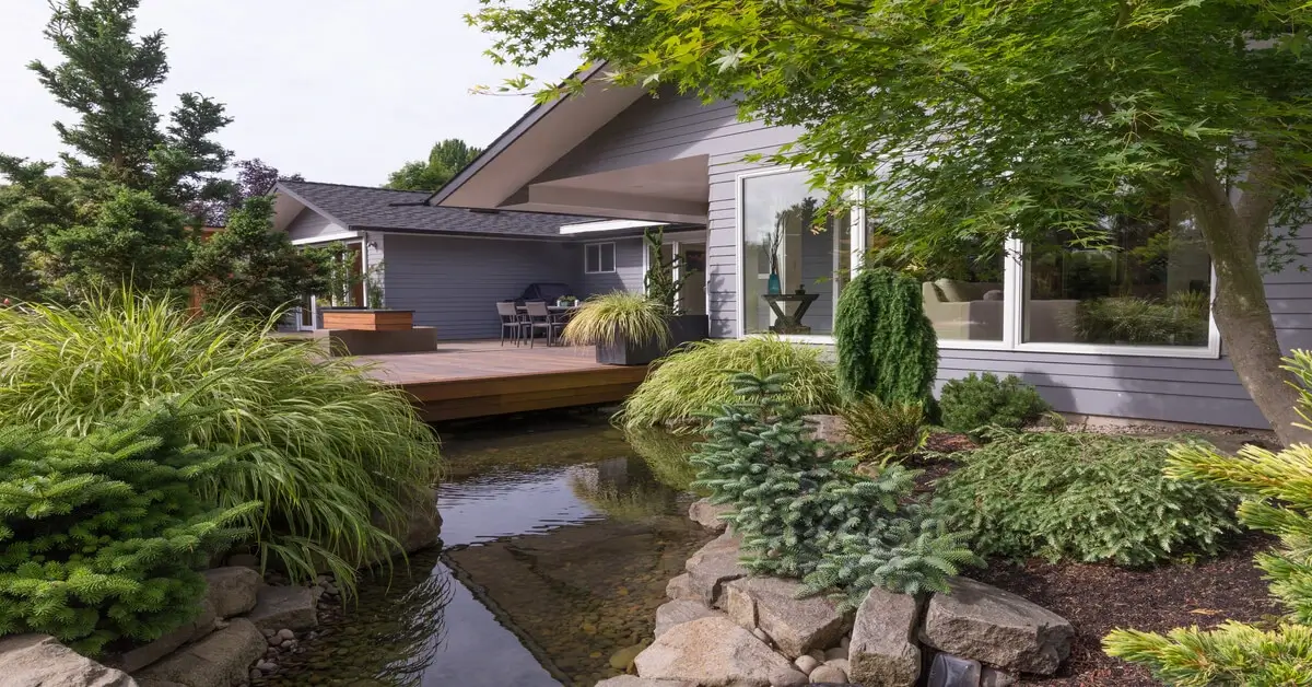 Microclimate in homeowners backyard with water feature, trees and shrubs.