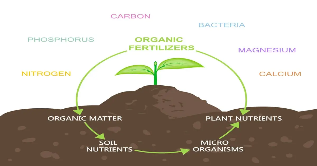 Understanding Plant Nutrients - GIY Plants