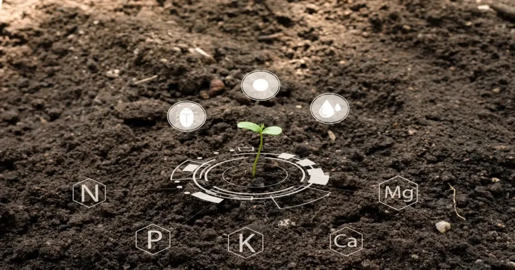 Seedling growing in soil with the nutrient symbols arranged around it to understand plant nutrients.