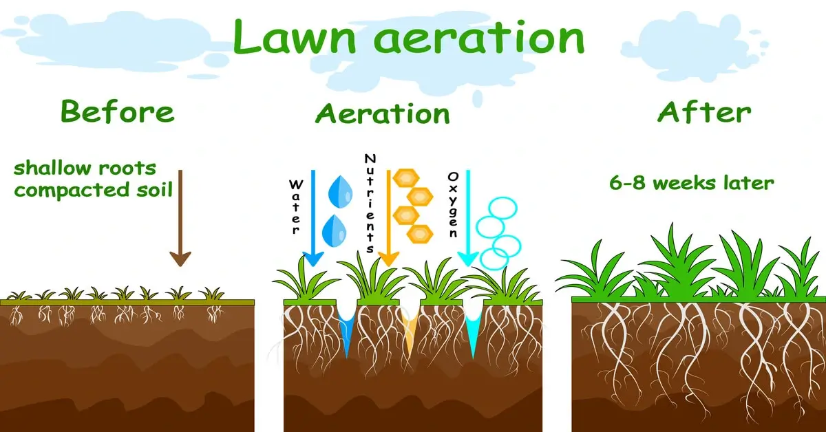 Soil Aeration Methods for Lawn and Gardens - GIY Plants