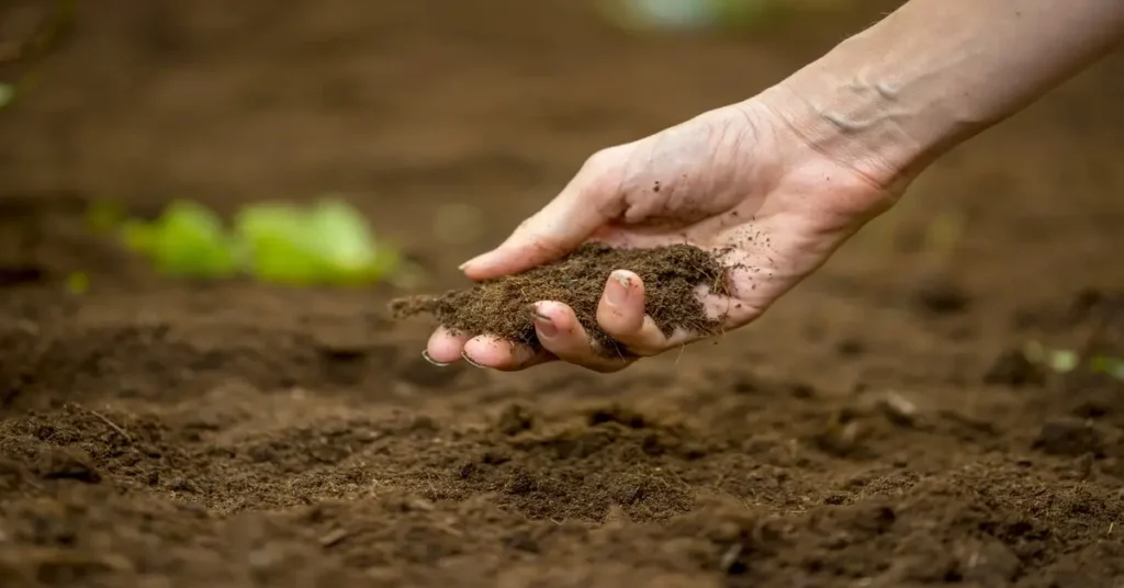 Woman holding a handful of soil explaining soil conservation.