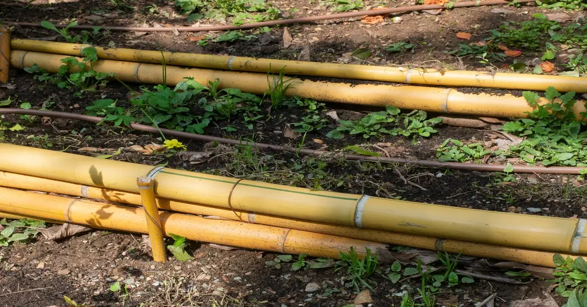 Creating tiers with bamboo to stop soil erosion on slope. 