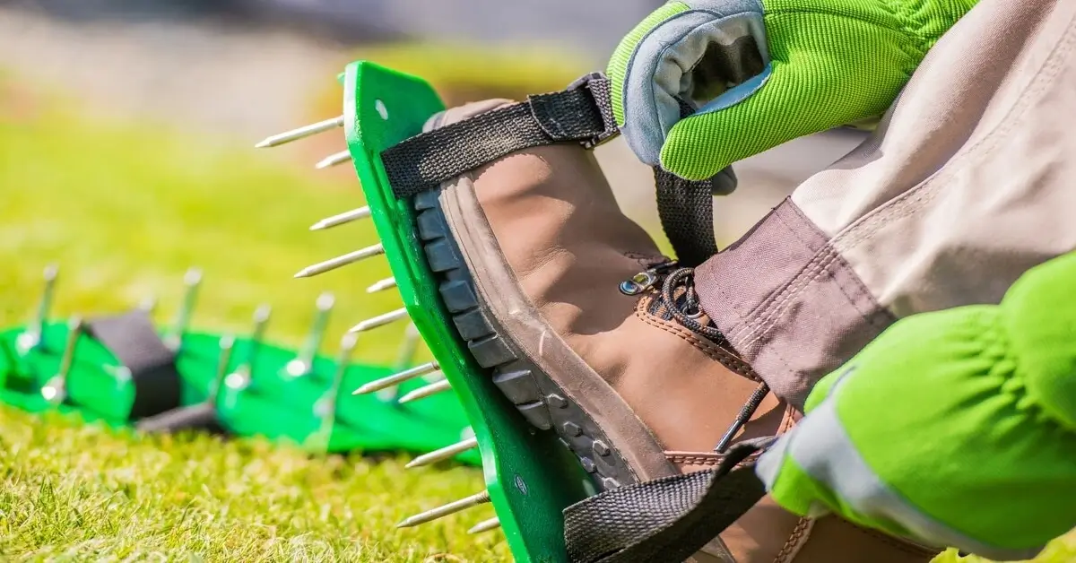 Man putting spike aeration tool on his boots to walk around the lawn and aerate the soil.