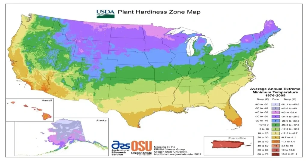 Map of the USDA hardiness zones in the United States.