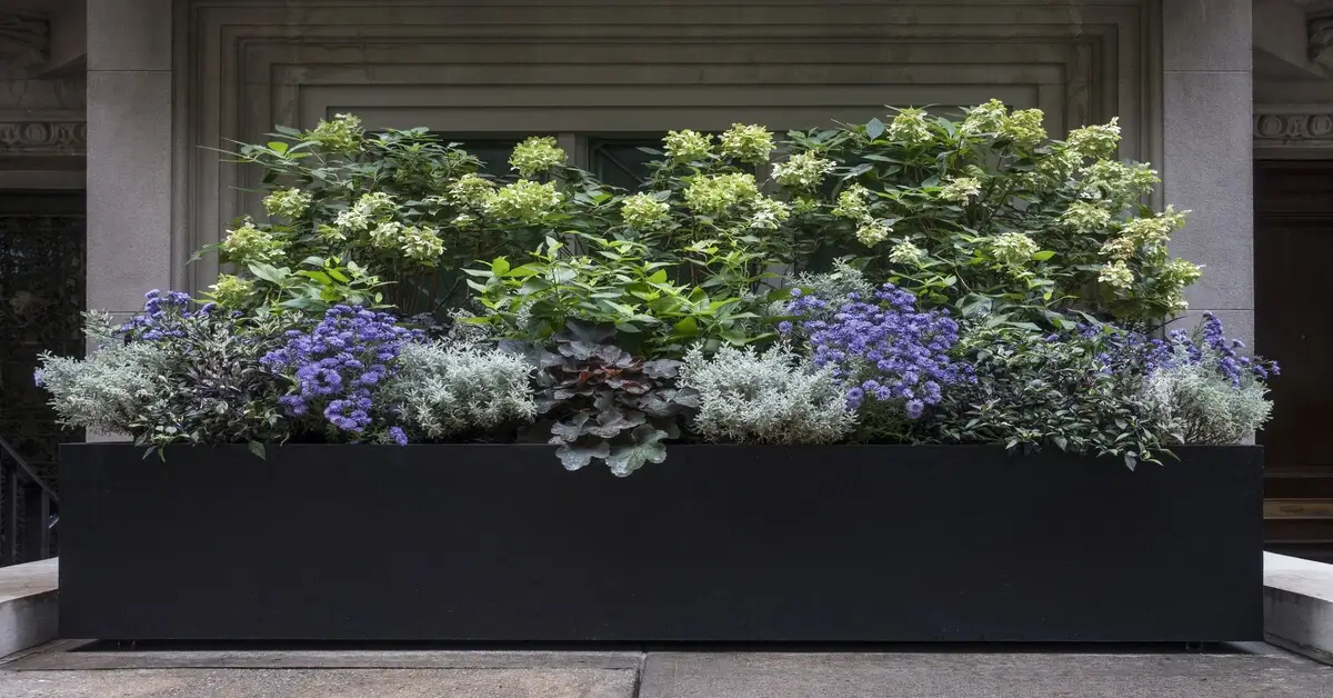 Large black durable planter box outside full of flowers growing.