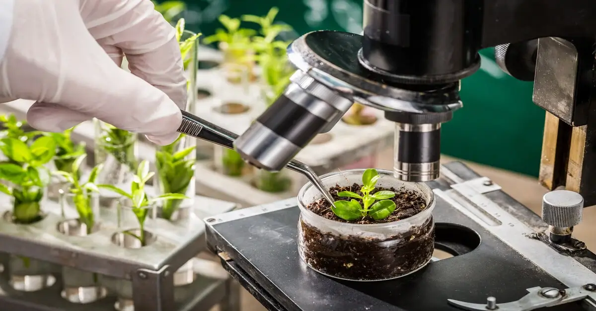 Educational research with plants and microscopes from horticultural societies.