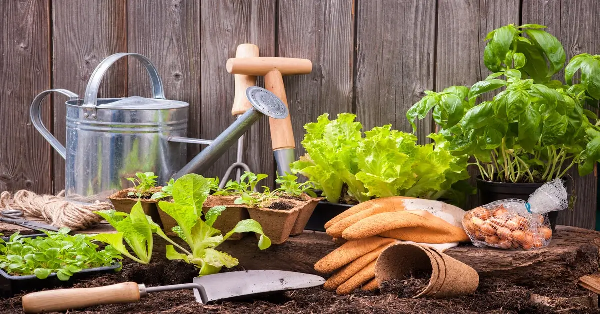 All the necessary tools and supplies to get started with gardening by the moon.