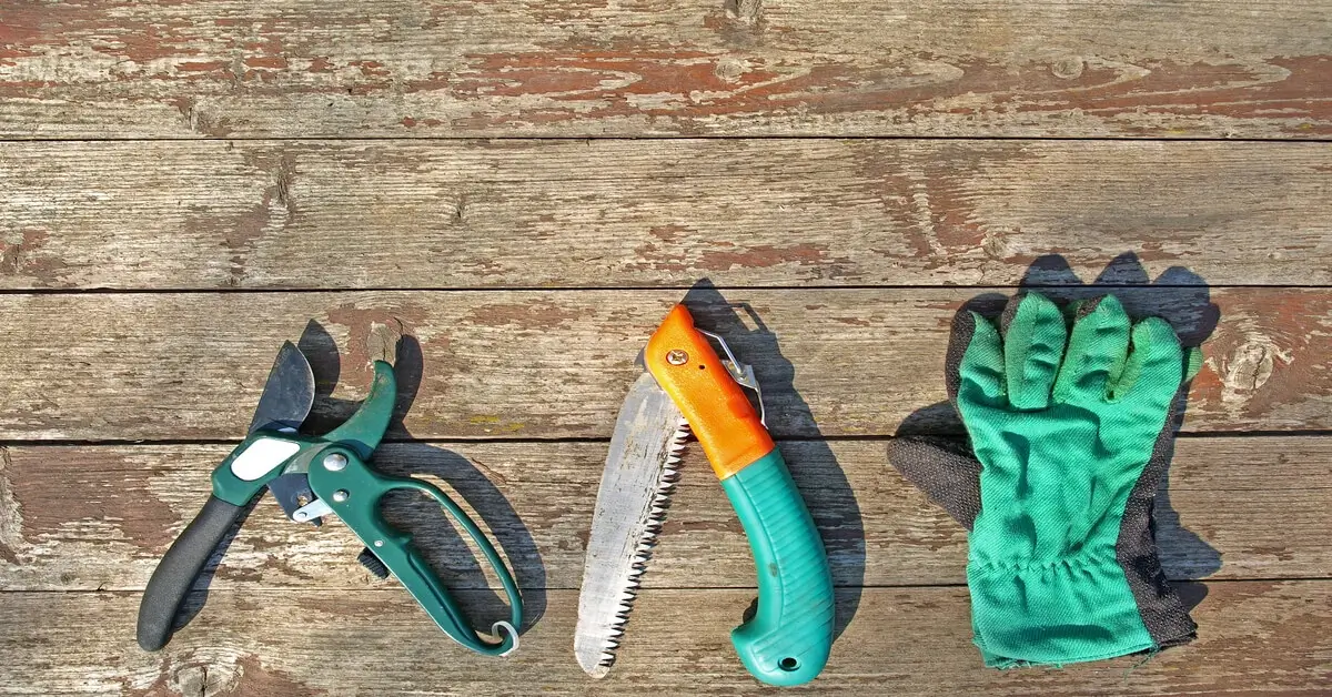 Pruning tools laying on wood deck like hand pruners, foldable pruning saw and pair of gloves.