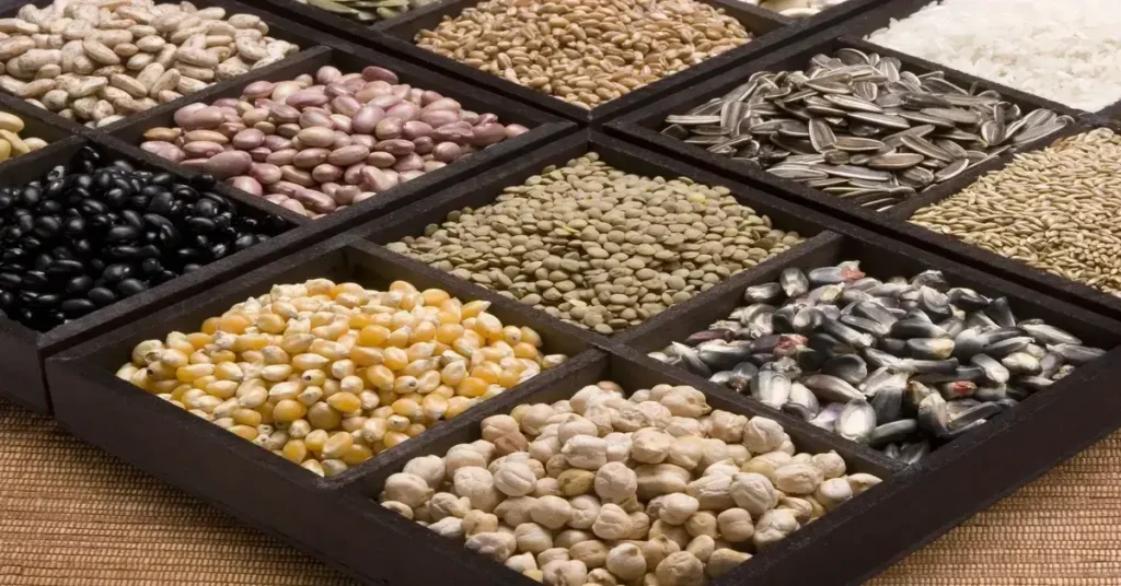 Tray of different types of F1 hybrid seeds