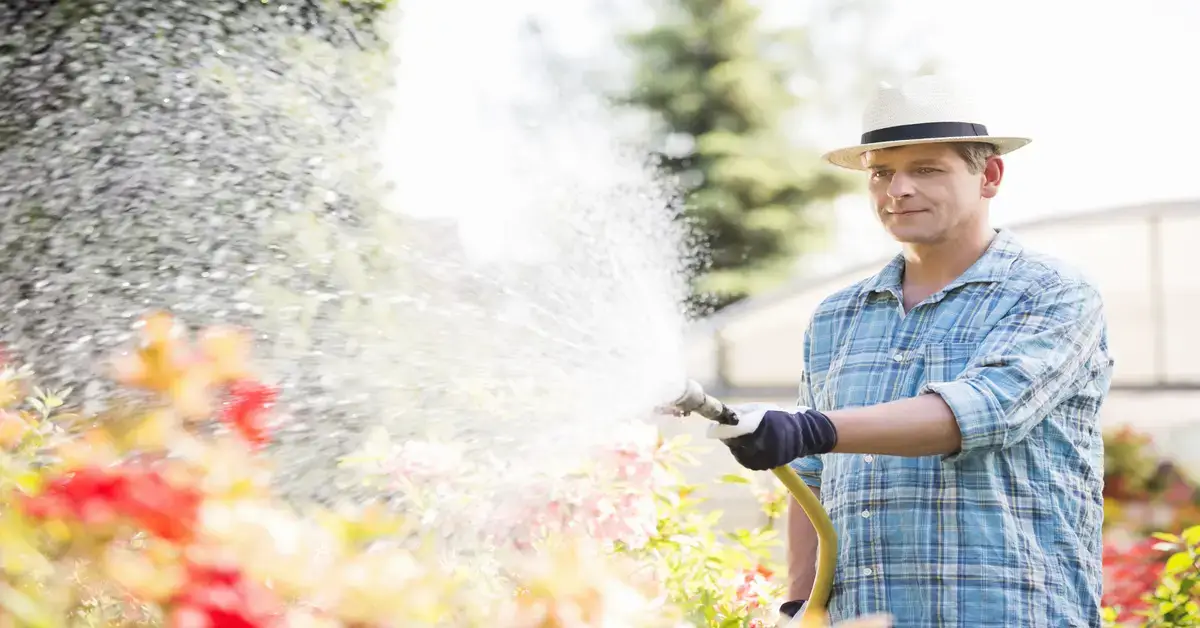 Man watering his garden with a water hose.