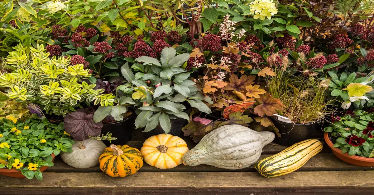 What Do Plants Need To Survive and Grow? GIY Plants