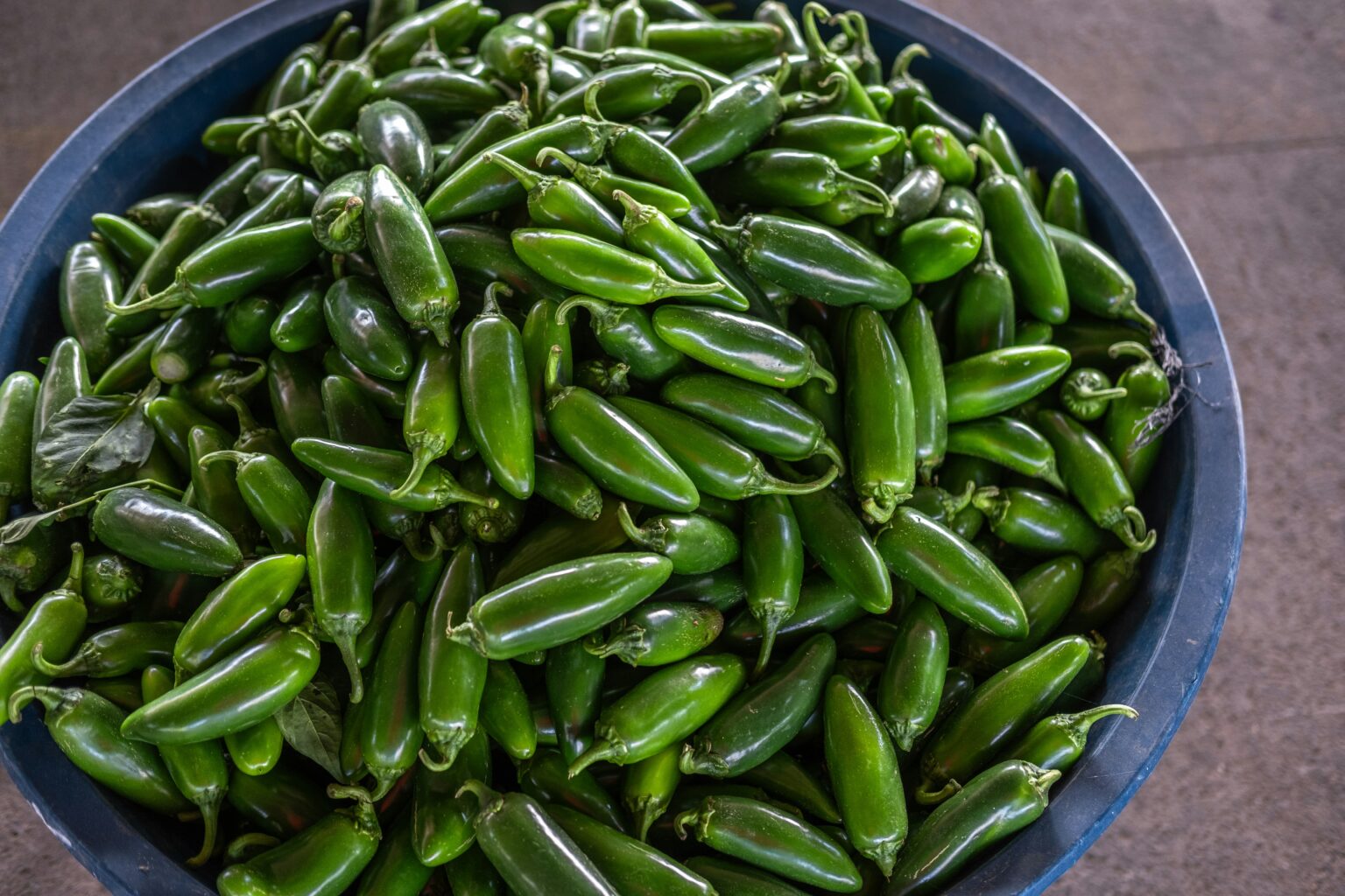 Jalapeño Pepper Scoville How Spicy Is This Popular Chili?